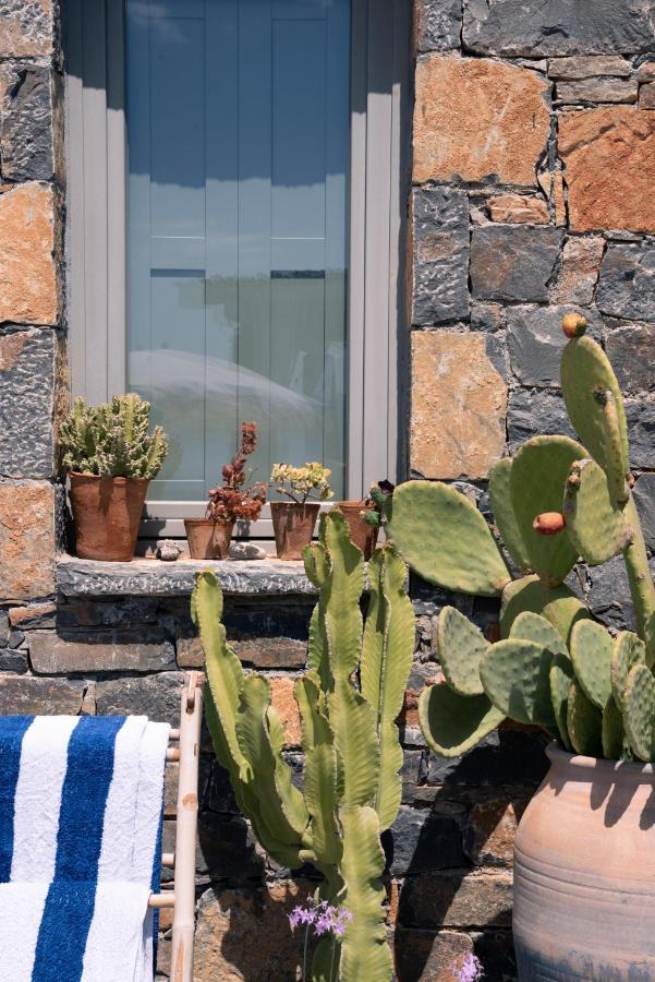 Villa Aiolos: Above The Sea, Within Agios Nikolaos 외부 사진